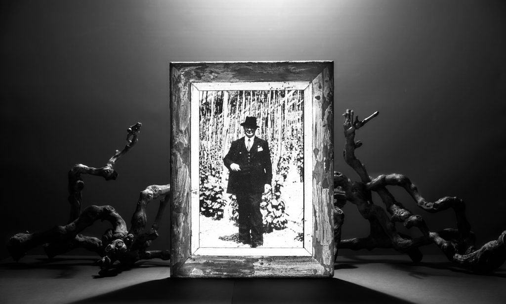 1972-2022: 50 anni dalla prima vendemmia di Giulio Ferrari Riserva del Fondatore