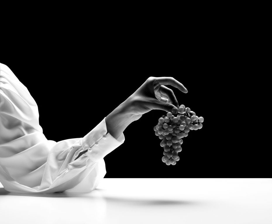 Vivi la vendemmia di Ferrari Trento