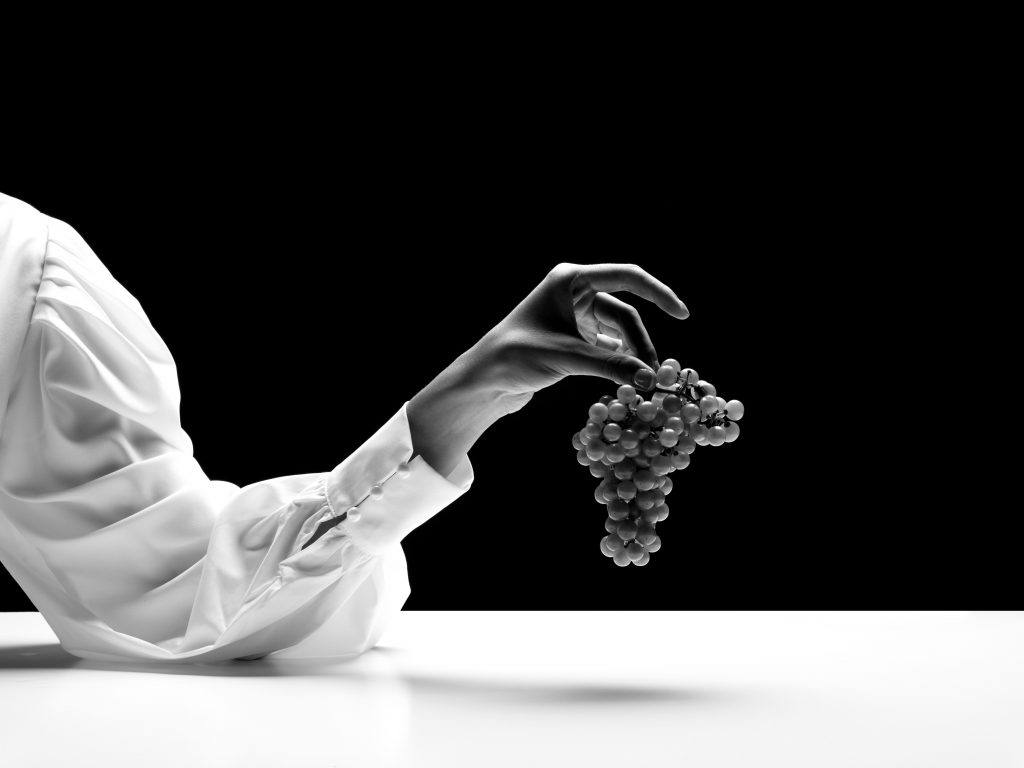 Vivi la vendemmia di Ferrari Trento